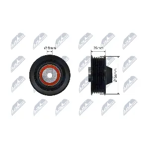 RNK-ME-066 NTY