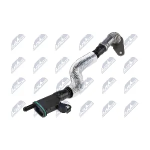 GPP-AU-081 NTY