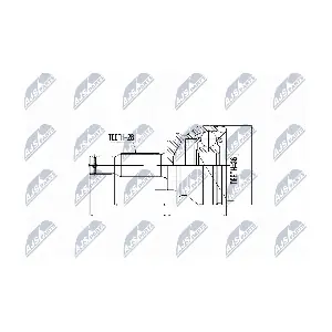 NPZ-CH-003 NTY