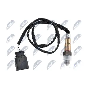 ESL-AU-007 NTY