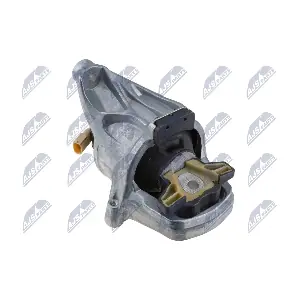 ZPS-AU-061 NTY