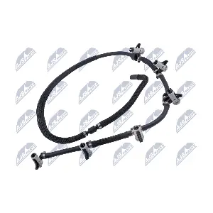 BPP-BM-008 NTY