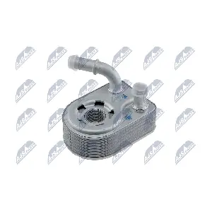 CCL-FR-008 NTY