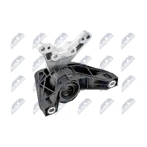 ZPS-PL-081 NTY