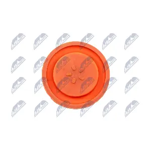 BPZ-PL-006 NTY