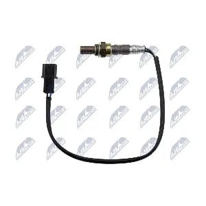 ESL-MS-003 NTY
