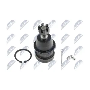 ZSD-CH-028 NTY