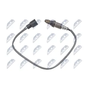 ESL-TY-012 NTY