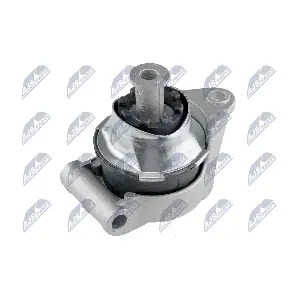 ZPS-PL-003 NTY