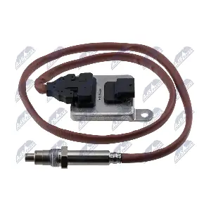 ENOX-BM-004 NTY