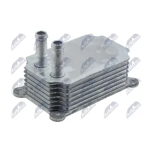CCL-FR-028 NTY