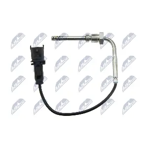EGT-FT-030 NTY