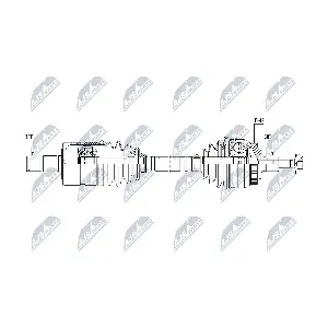 NPW-VW-209 NTY