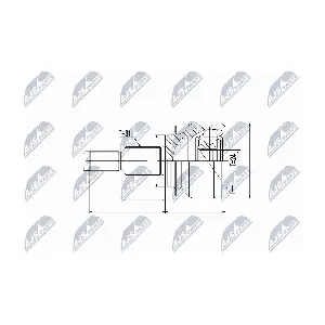 NPZ-MZ-055 NTY