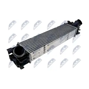 NTY CCL-BM-091