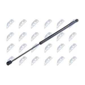 AE-PL-005 NTY