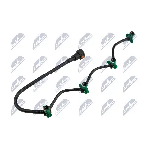 BPP-FR-014 NTY