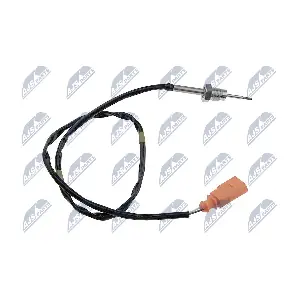 EGT-SK-006 NTY