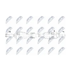 NPW-RE-217 NTY