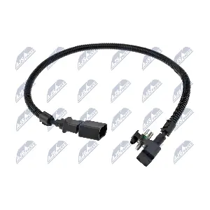 ECP-AU-031 NTY
