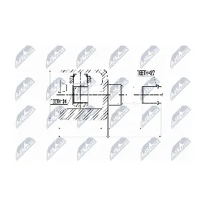 NPW-DW-019 NTY