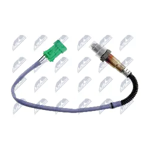 ESL-CT-007 NTY