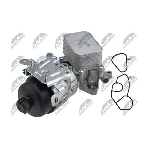 CCL-PE-002 NTY