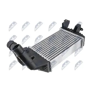 NTY CNG-PL-011