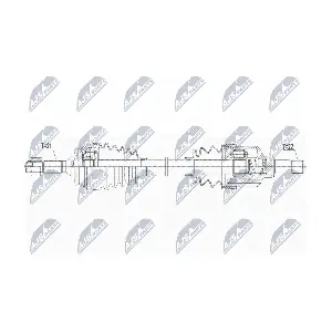 NPW-PE-075 NTY