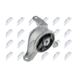 ZPS-PL-001 NTY