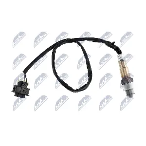 ESL-PL-010 NTY