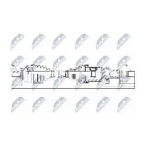 NPW-VV-034 NTY