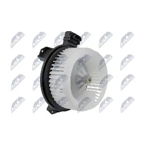 EWN-CH-003 NTY