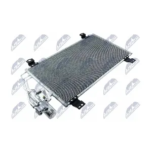 CCS-MZ-018 NTY