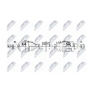 NPW-PL-183 NTY