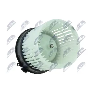 EWN-NS-007 NTY