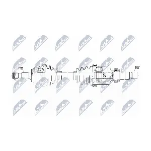 NPW-PE-081 NTY
