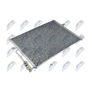 CCS-BM-007 NTY