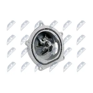 CPW-RV-010 NTY