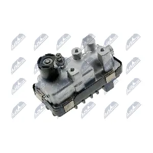 ECD-MS-001 NTY