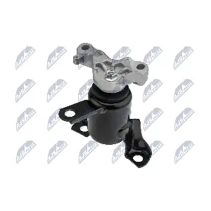 ZPS-FR-058 NTY