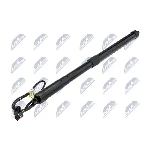 AE-LR-019 NTY