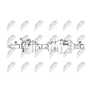 NPW-VV-151 NTY