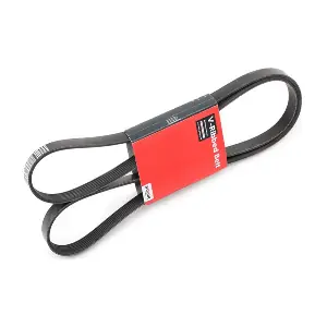 SK-6PK1880 Stark