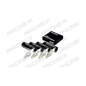 686S0069 RIDEX