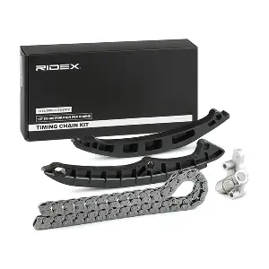 1389T0006 RIDEX
