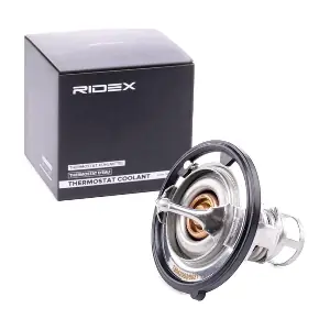 316T0131 RIDEX