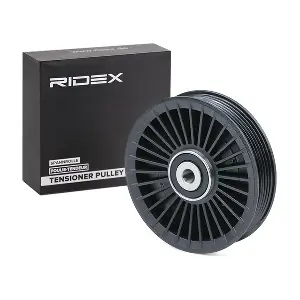 312D0081 RIDEX