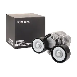 310T0149 RIDEX