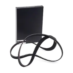 306T0298 RIDEX